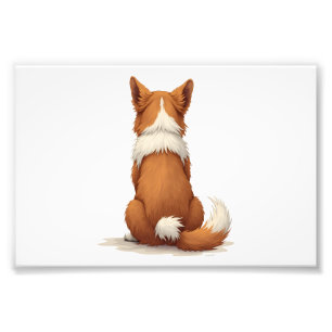 Illustratie van een hond van achteren op witte ach foto afdruk