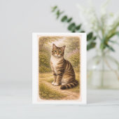 Illustratie van een kat met tabbypatroon in vintag briefkaart (Staand voorkant)