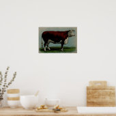  illustratie van een koe van Hereford Poster (Keuken)