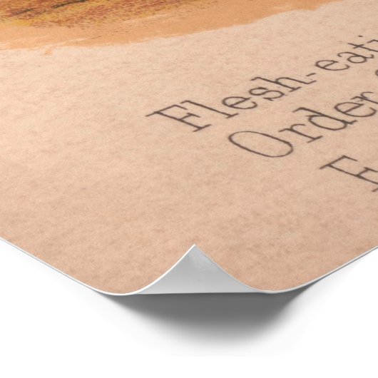  illustratie van een kunk (1874) poster (Hoek)