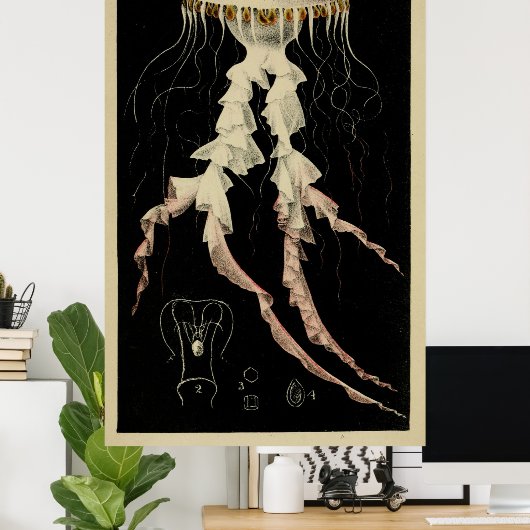  illustratie van een kwal (1853) poster (Thuiskantoor)