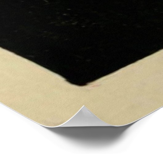  illustratie van een kwal (1853) poster (Hoek)