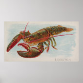  illustratie van een Lobster (1889) Poster (Voorkant)