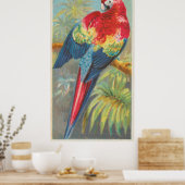  illustratie van een Macaw Parrot (1889) Poster (Keuken)