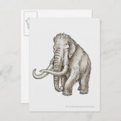 Illustratie van een mammot briefkaart (Voorkant / Achterkant)