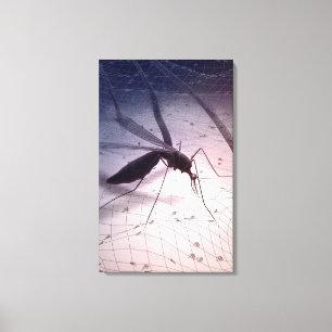 Illustratie van een muggenbijt canvas afdruk