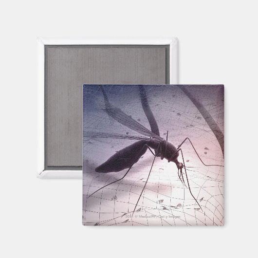 Illustratie van een muggenbijt magneet (Voorkant / Achterkant)