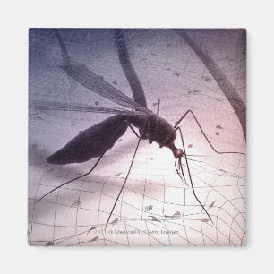 Illustratie van een muggenbijt magneet