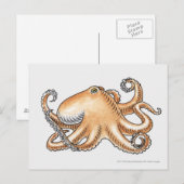 Illustratie van een octopus briefkaart (Voorkant / Achterkant)