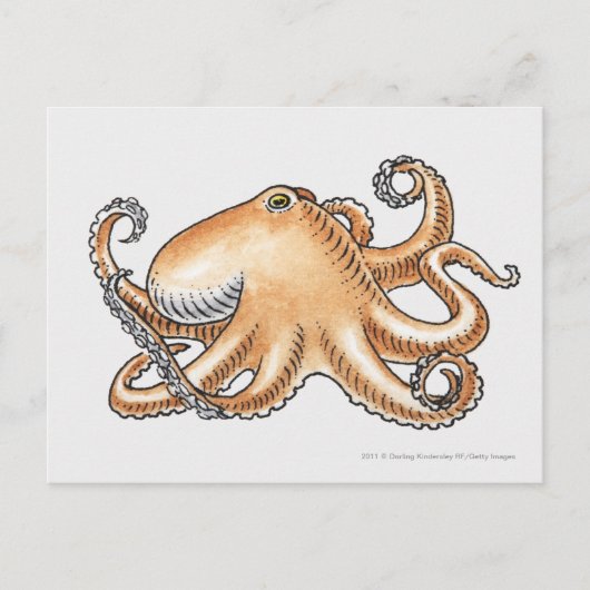 Illustratie van een octopus briefkaart (Voorkant)