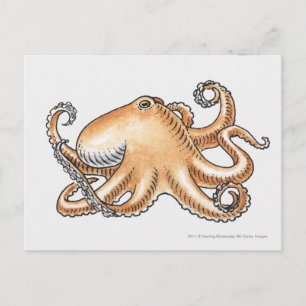 Illustratie van een octopus briefkaart