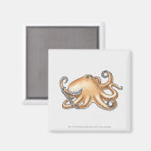 Illustratie van een octopus magneet (Voorkant / Achterkant)