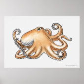 Illustratie van een octopus poster (Voorkant)