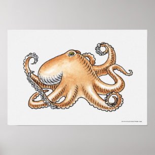 Illustratie van een octopus poster