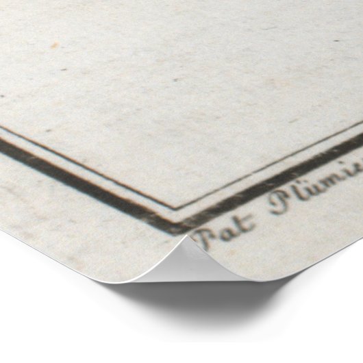  illustratie van een Palometa-vis (1785) Poster (Hoek)