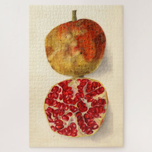 illustratie van een Pomegranaat Legpuzzel