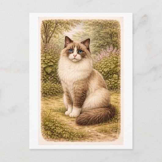 Illustratie van een ragdoll kat in vintage stijl briefkaart (Voorkant)