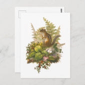  illustratie van een Schattige Chipmunk Briefkaart (Voorkant / Achterkant)