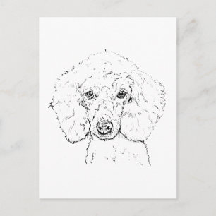 Illustratie van een schattige poedel, handgetekend briefkaart