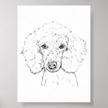 Illustratie van een schattige poedel, handgetekend
