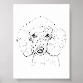 Illustratie van een schattige poedel, handgetekend poster