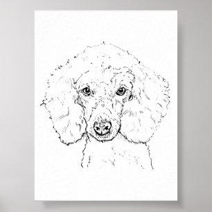 Illustratie van een schattige poedel, handgetekend poster