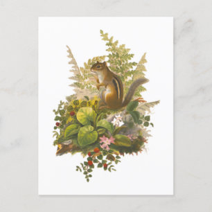 Illustratie van een schattige wangas briefkaart