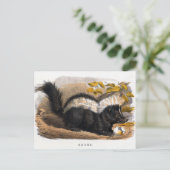  illustratie van een Skunk Briefkaart (Staand voorkant)