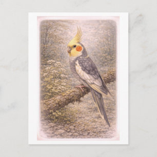 Illustratie van een valkparkiet in vintage stijl briefkaart