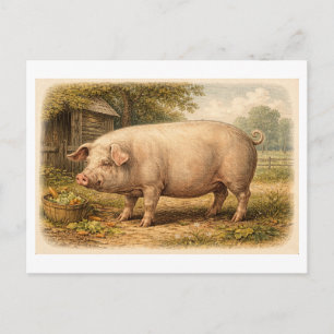 Illustratie van een varken in vintage-stijl briefkaart
