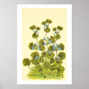 illustratie van een verbijsterend Charlie-Plant Poster