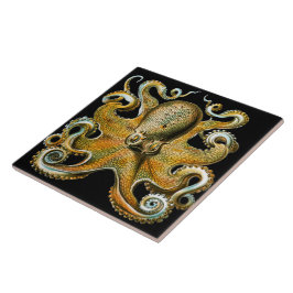 Illustratie van een vintage gouden octopus tegeltje