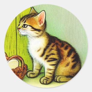 Illustratie van een vintage tabbykat ronde sticker