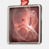 Illustratie van een zich ontwikkelend embryo metalen ornament (Links)