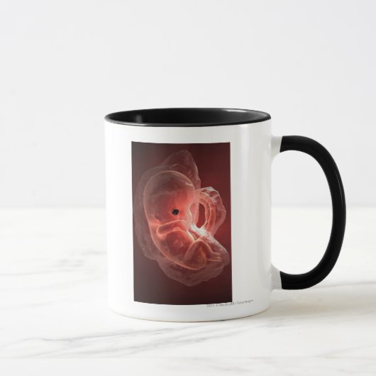 Illustratie van een zich ontwikkelend embryo mok (Rechts)