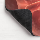 Illustratie van een zich ontwikkelend embryo muismat (Hoek)