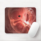 Illustratie van een zich ontwikkelend embryo muismat (Met muis)