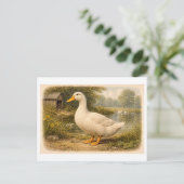 Illustratie van eend in vintage-stijl briefkaart (Staand voorkant)