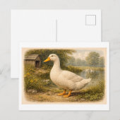 Illustratie van eend in vintage-stijl briefkaart (Voorkant / Achterkant)