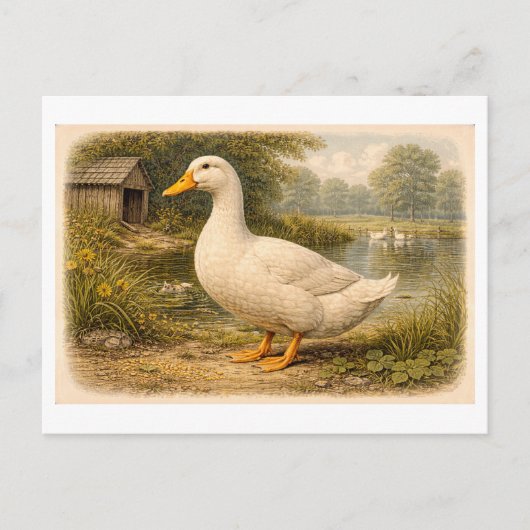 Illustratie van eend in vintage-stijl briefkaart (Voorkant)