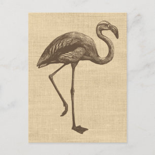 illustratie van Flamingo op schoot Briefkaart