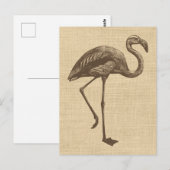  illustratie van Flamingo op schoot Briefkaart (Voorkant / Achterkant)