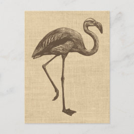 illustratie van Flamingo op schoot Briefkaart