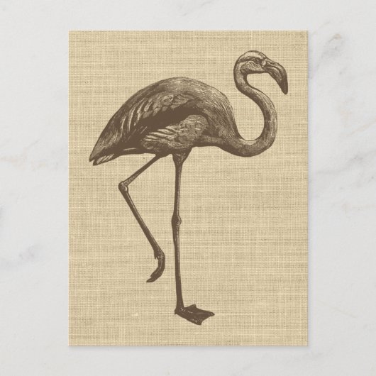  illustratie van Flamingo op schoot Briefkaart (Voorkant)
