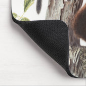 Illustratie van Fremont's eekhoorn en zeekhoorn Muismat (Hoek)