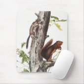 Illustratie van Fremont's eekhoorn en zeekhoorn Muismat (Met muis)