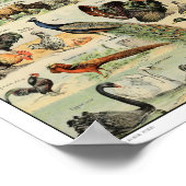 Illustratie van  gedomesticeerde dieren poster (Hoek)