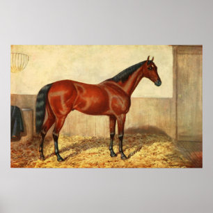 Illustratie van  gekabelde paarden (1905) poster