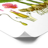 Illustratie van gember-Plant Juicing Bar-decor Poster (Hoek)