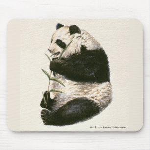 Illustratie van Giant panda die op bamboe voedt Muismat